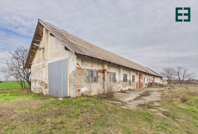 Proprietate industrială + Teren 8.632 - Voiteg - Județul Timiș - 22