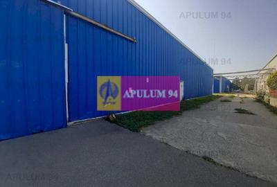 Spatiu Logistic langa Bucuresti Hala 5000 mp - 48