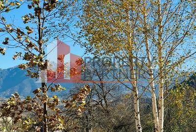 Teren Bran / Predelut cu priveliste 1840mp - 10