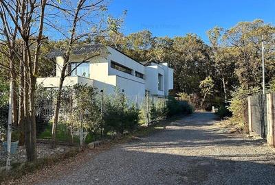 Teren intravilan 1170 mp Corbeanca Padurea Tamasi - 4