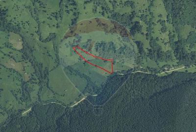 Teren 12,127mp Frasin / Drumul Forestier Valea Seacă - 14