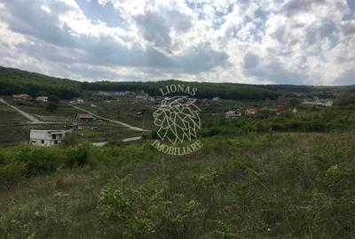 Teren Construcții intravilan de 1550 mp, în Nord-Est