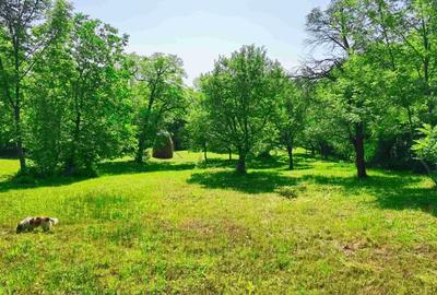 Teren intravilan Talea situat in mijlocul naturii ! - 1