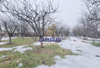 Teren de vânzare în Tămădău Mare, jud. Călărași – Strada Principală - 2