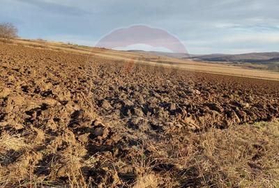 Teren agricol intravilan de 7200 mp, în Secuieni