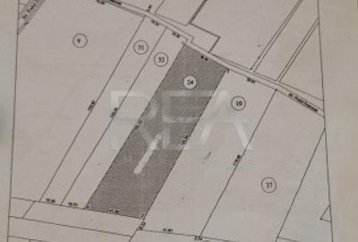 Teren Construcții intravilan de 5000 mp, în Giulești Sârbi