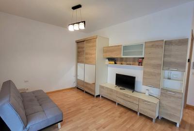 Dumbravita Complex Barcelona 1 camera 350 euro - 1