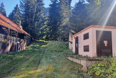 Teren Construcții intravilan de 2000 mp, în Poiana Brașov - 4