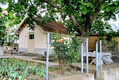 Seimenii Mari Casa 5 camere S.teren:4260 +vie+pomi fructiferi  vedere la Dunare - 9
