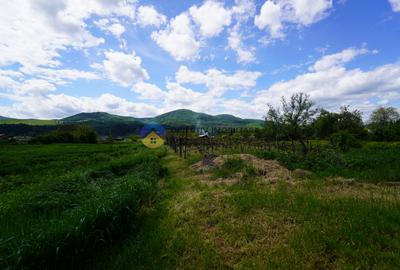 Teren 9000 mp intravilan Piatra Neamt , ideal investitie - 12