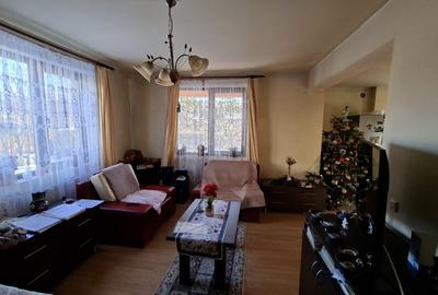 De vanzare casa singur in curte, 3 camere, Sg. Mures, Zona Nordului - 8
