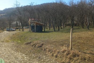 Vind teren intravilan in com .Corbi  sat Poinarei  jud.Arges, - 7