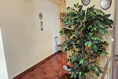 Apartament 3 camere decomandat zona Judetean,mobilat,122500 Euro - 10