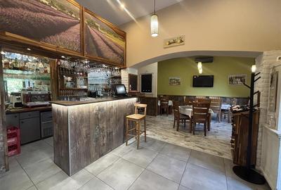 RESTAURANT GYULA | UNGARIA | PANOURI SOLARE | 245 MP |  TERASA PE LAC - 2