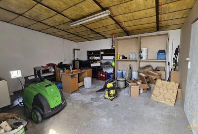 Proprietate industriala renovata | 2 hale de vanzare in zona Seleus - 10