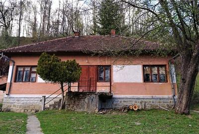 Domeniu de 7 ha in Apuseni - Criscior, Hunedoara - 1