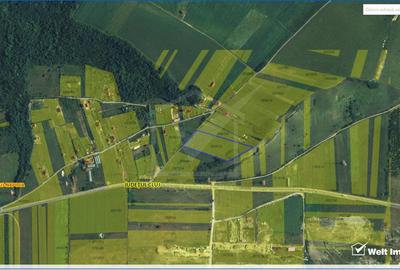 Oportunitate investitie, Bdul Muncii, 17.265 MP/Utr - TDA - 5