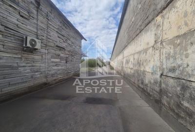 PLATFORMĂ INDUSTRIALĂ 3HA SILOZURI 50M ACCES CFR SÂNNICOLAU MARE - 13