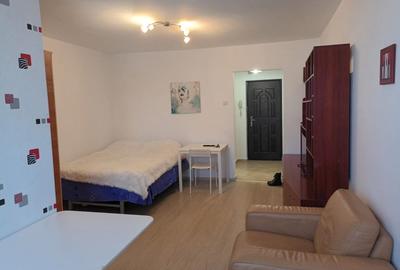 Dristor, garsoniera, 6 minute metrou, mobilat, utilat, renovata recent - 14