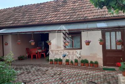 Casa individuala plus anexa, zona centrala in Faget - 3