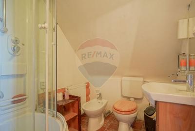 CASA INCONJURATA DE NATURA | DIN BUSTENI | 8 CAMERE | TIMISUL DE JOS - 22