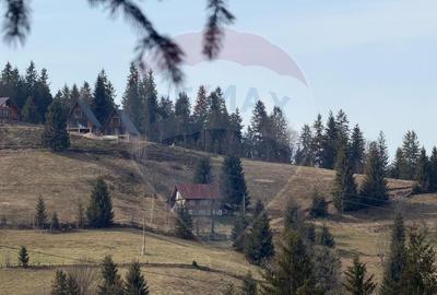 Teren de vanzare în inima Apusenilor –  6.500 mp Arieșeni - 11