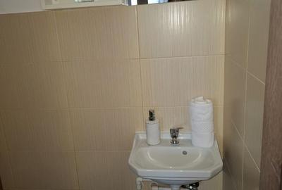 Apartament de inchiriat cu 3 camere in Alba Iulia - 3