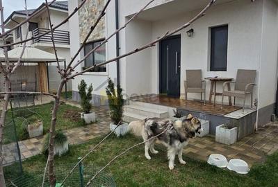 Casa individuala mobilata utilata modern Berceni - 1