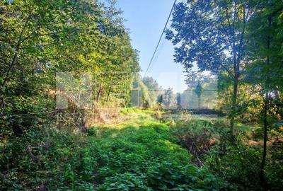 TEREN INTRAVILAN | FRATĂUȚII NOI | 1.1 HA - 9