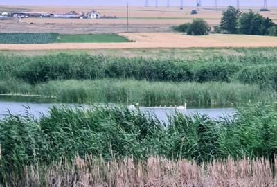 Pensiune turistica de vanzare in Corbu vedere lac afacere la cheie - 36