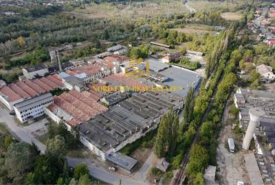 Platforma Industriala-8 ha -Fabrica-Hale Productie-21.500 mp - 4