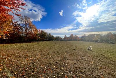 Teren Premium 1559 mp, Brebu Manastirei - Refugiu Montan la 120 km de Bucuresti, - 6