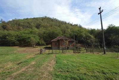 Teren, padure si casa in Dumbrava de Jos, jud. Hunedoara - 18