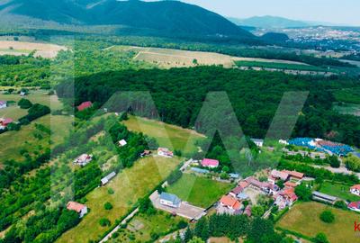Teren intravilan 2000 mp - Tocile, vedere panoramică spre munte și pădure - 10