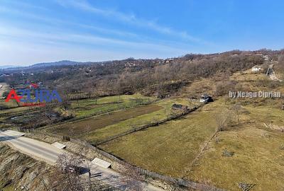 Teren 2500 mp în natură, Valea Bratia, priveliște spre munți - 6