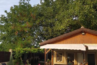 Silistea Snagovului,vila  2012, la cheie,  5 camere+ bucatarie vara, piscina - 36