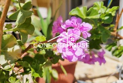 Vila D+P+E+M, teren 898mp, piscina, IANCU NICOLAE-Cambridge School - 53