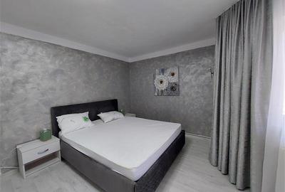 Apartament renovat, parter, zona P-ta Mihai Viteazul - 2