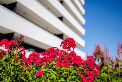 Vand apartament de lux, cu 3 camere in Wings- cu CF! Boxa depozitare inclusă! - 1