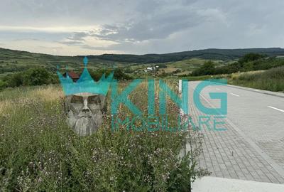 Teren intravilan 803mp | Autorizatie pentru Casa S+P+E de 290 mp | - Borhanci - 3