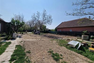 Casa cu 3 camere la Salard - 14