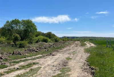 RECO teren intravilan Sanmartin - 2