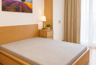 Apartament cochet pentru inchiriere zona Bucurestii Noi-Pod Constanta - 3