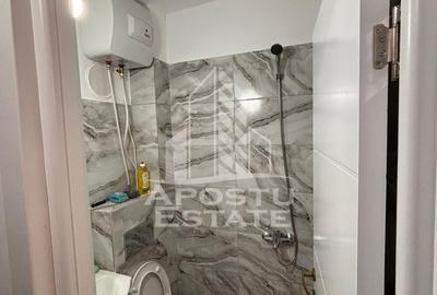 Apartament cu 1 camera,de inchiriat,Zona Aradului , Timisoara - 5