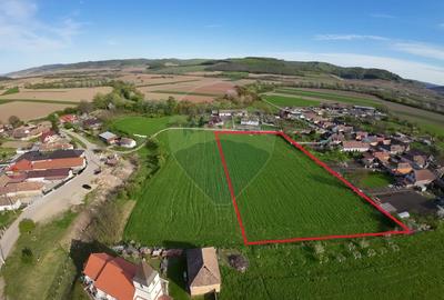 OPORTUNITATE INVESTIȚIONALĂ – TEREN INTRAVILAN 7.342 MP ALMA – SIBIU - 2