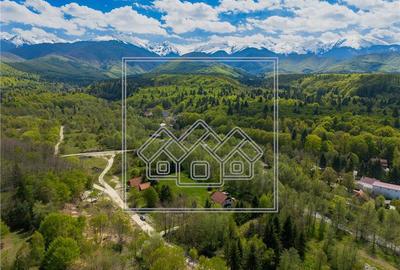 Casa de vacanta de vanza - oportunitate de investitie - zona turistica - 10