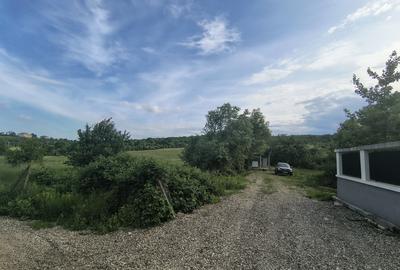 10.000 mp | Costica Arteni| Deschidere 40m | Ideal Dezvoltare Rezidențiala - 2