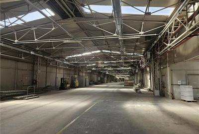 Spatiu Industrial - 5000 mp - Productie - Depozitare - 23