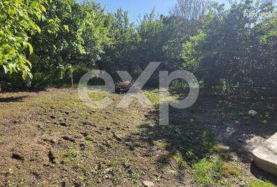 Vilă Individuală Imensă + Casă de Oaspeți și Garaj Dublu | Teren 1.000 mp - 11