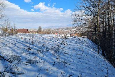 Teren intravilan de vanzare in Bran - 6